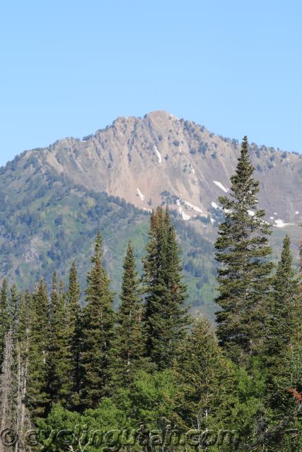 Porcupine-Big-Cottonwood-Hill-Climb-6-7-2014-IMG_0427