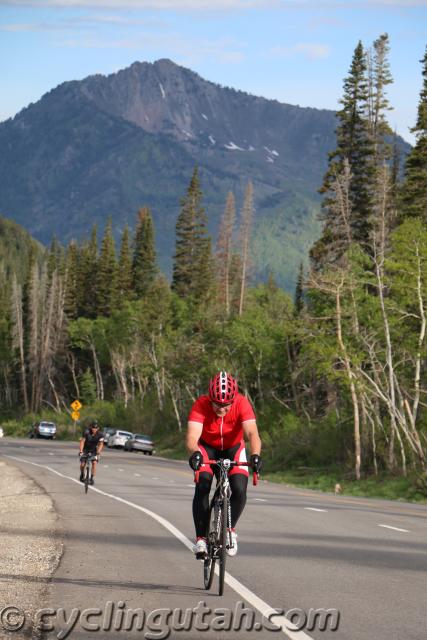 Porcupine-Big-Cottonwood-Hill-Climb-6-6-15-IMG_3686