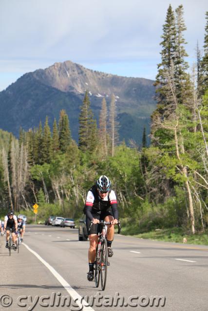 Porcupine-Big-Cottonwood-Hill-Climb-6-6-15-IMG_3857