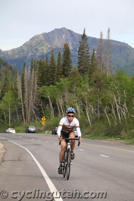 Porcupine-Big-Cottonwood-Hill-Climb-6-6-15-IMG_3981