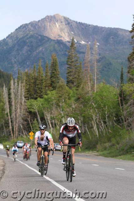 Porcupine-Big-Cottonwood-Hill-Climb-6-6-15-IMG_4021