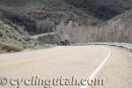 East-Canyon-Echo-Road-Race-4-16-2016-IMG_6145