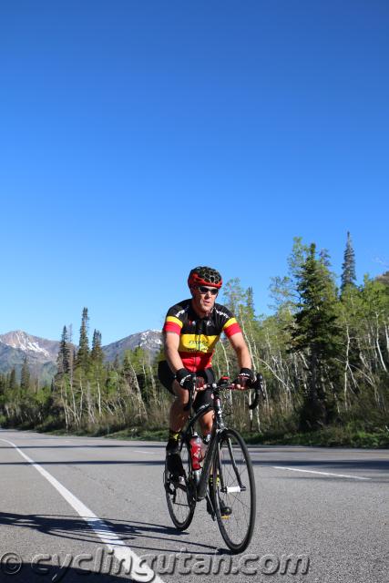 Porcupine-Big-Cottonwood-Hill-Climb-6-4-16-IMG_9694