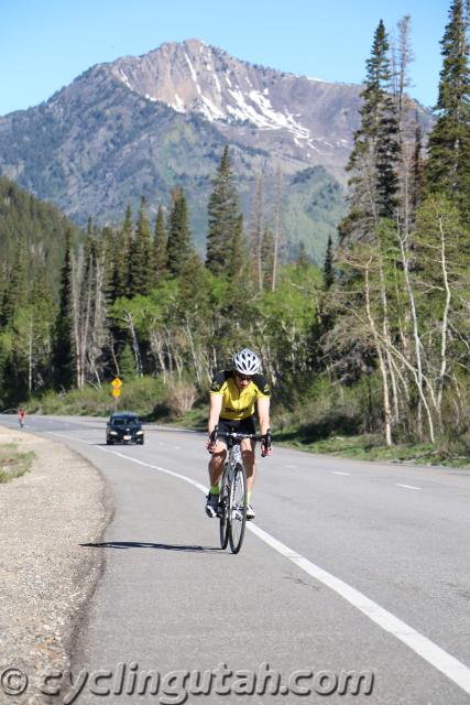 Porcupine-Big-Cottonwood-Hill-Climb-6-4-16-J-IMG_0213