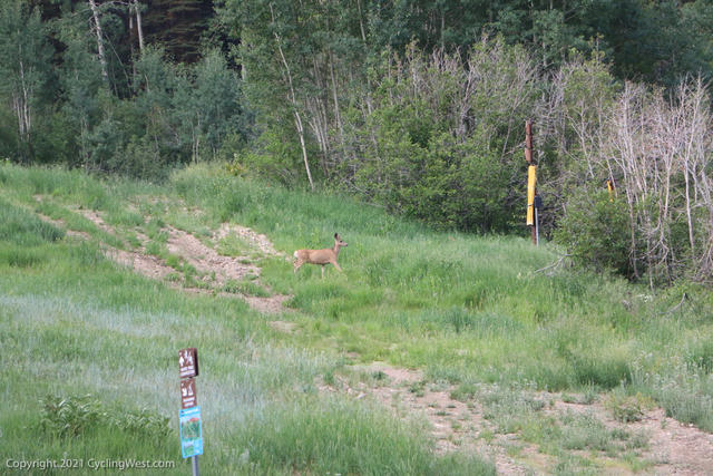 Snowbird Intermountain Cup 2021 IMG_8207